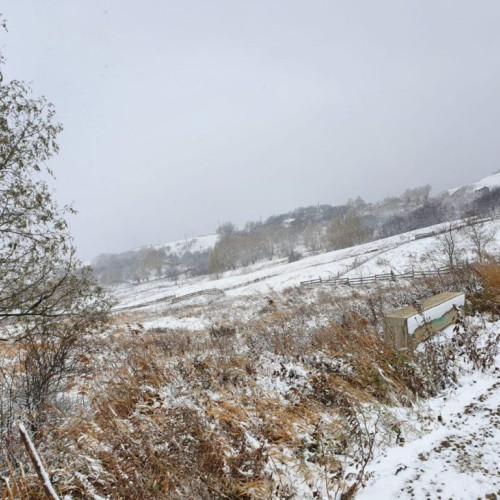 Schimbări semnificative în prognoza meteo începând de joi