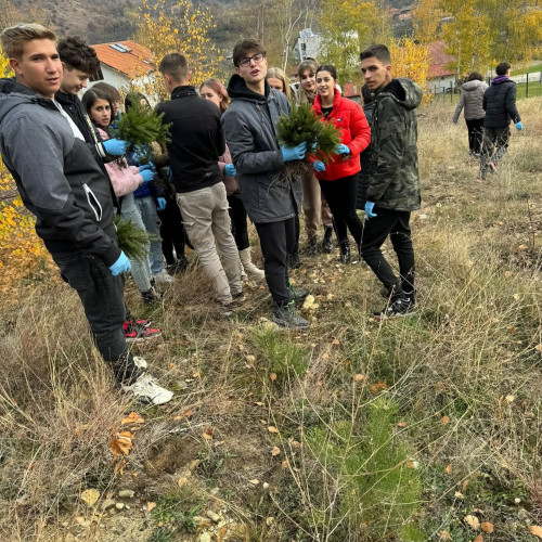 Activități educative la Colegiul Național &quot;Tudor Vladimirescu&quot; din Târgu Jiu