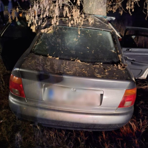 Accident mortal pe DN 54 în Corabia