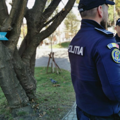 Șase sesizări de incidente electorale la Gorj