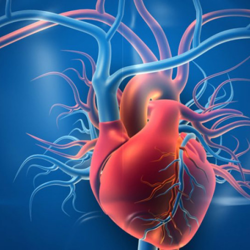 Campanie națională pentru conștientizarea bolilor cardiovasculare în decembrie