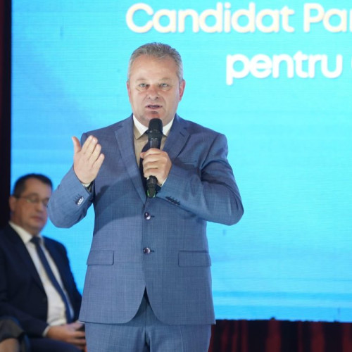 PNL a obținut un rezultat sub așteptări la alegerile parlamentare