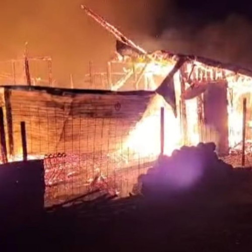 Incendiu devastator în comuna Dăneti, județul Dolj