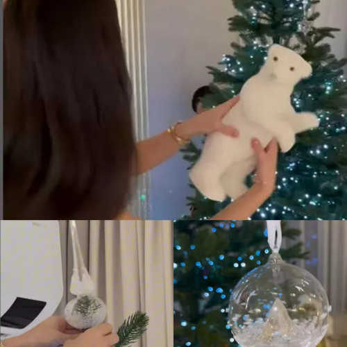 Andreea Bostanica își arată bradul de Crăciun pe rețelele sociale