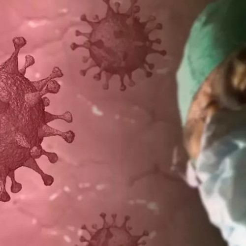 Avertisment al oamenilor de știință: un virus de la cai ar putea declanșa o pandemie