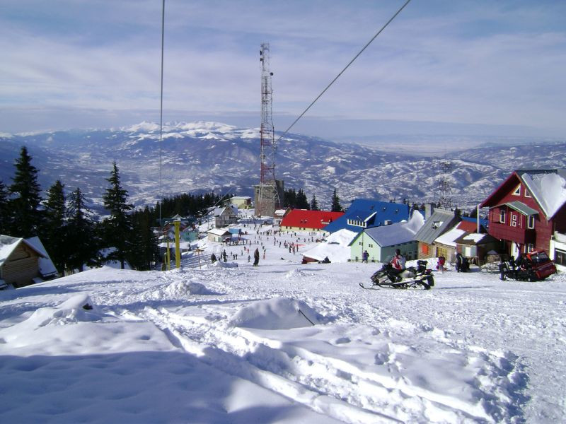 Image Description