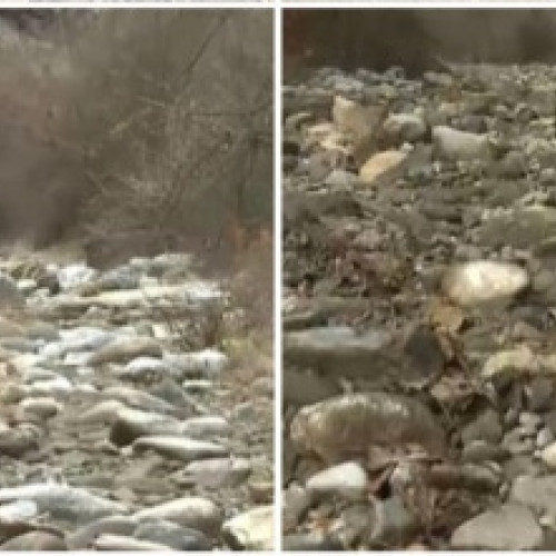 Peisaj dezolant în județul Gorj din cauza secetei