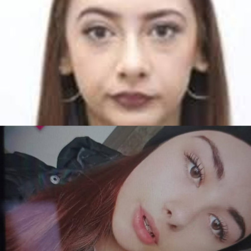 Dispariția a două adolescente din Vulcan