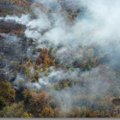 Incendii devastatoare în fondul forestier administrat de RNP - Romsilva în 2023