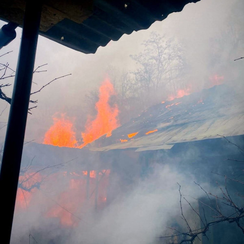 Incendiu devastator în localitatea Livadia: o persoană a murit