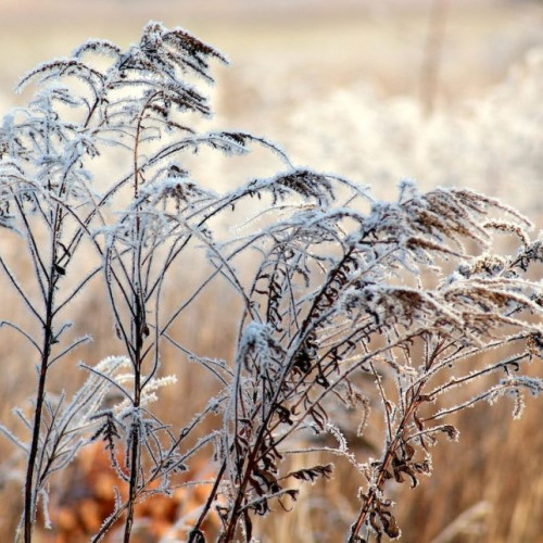 Avertizare meteorologică cod galben pentru fenomene extreme în Harghita