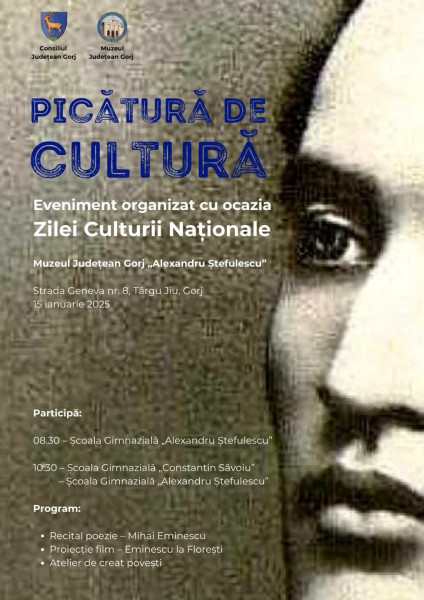 Image Description