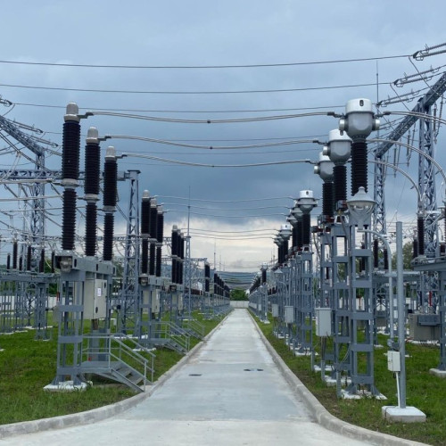 Acționarii Transelectrica resping indemnizațiile și chiria pentru șefi în anul austerității