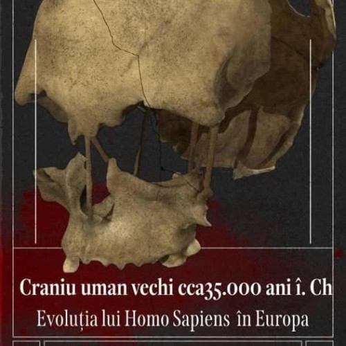 O descoperire arheologică remarcabilă la Muzeul Olteniei din Craiova