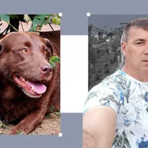 Un hunedorean condamnat pentru abuz sexual asupra unei cățelușe