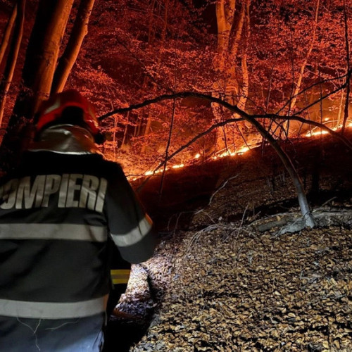 Incendiu de pădure în comuna Boisoara, Vâlcea