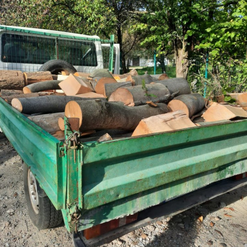 Poliția din Turceni a confiscat material lemnos transportat ilegal