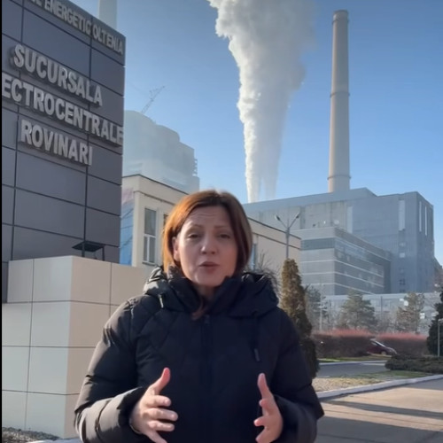 Ionelia Priescu acuză de ipocrizie ministrul Energiei, Sebastian Burduja