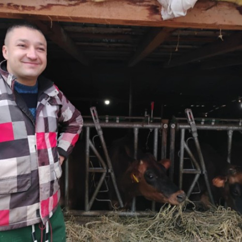 Minerul din Valea Jiului, antreprenor de succes în sectorul laptelui Jersey