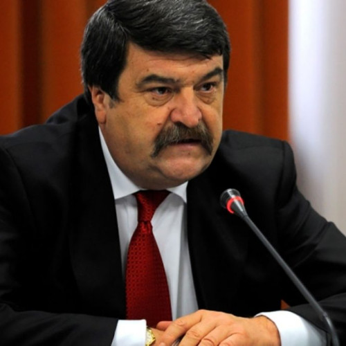 MAI răspunde acuzațiilor legate de campania electorală a lui Călin Georgescu