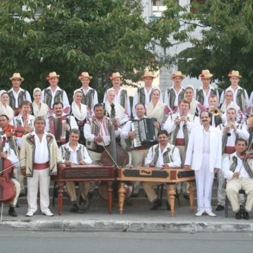 Concurs pentru postul de șef al secției de balet la Ansamblul Artistic &quot;Doina Gorjului&quot;