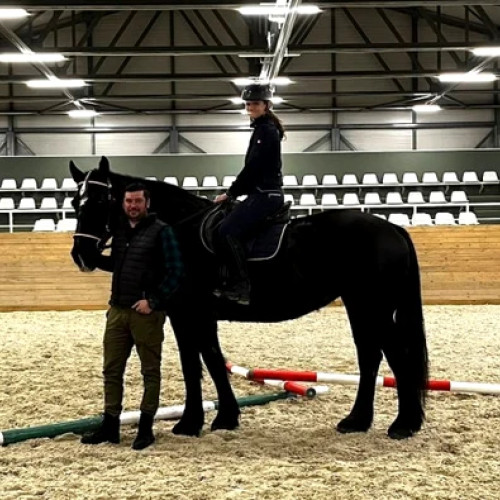 Un cal Percheron american unic la Universitatea de Științele Vieții din Iași