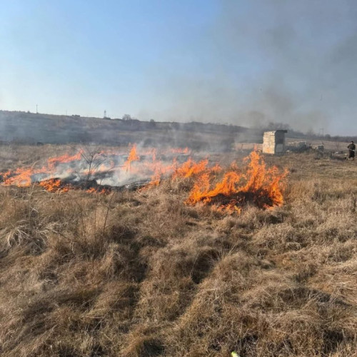Arderea ilegală a vegetației, un fenomen alarmant în Gorj