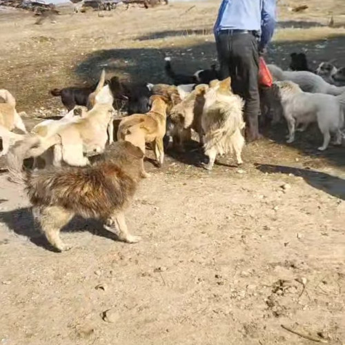 Peisaj dezolant la fosta carieră Poiana, din apropierea Rovinariului