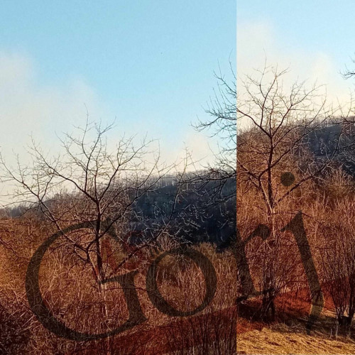 Incendiile de vegetație afectează județul Gorj