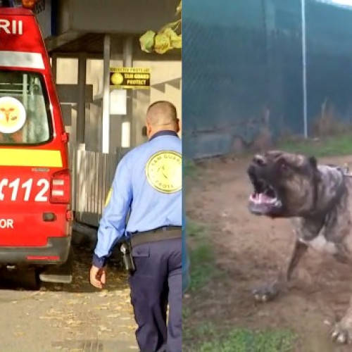 Tragicul incident din comuna Vânători, județul Mehedinți