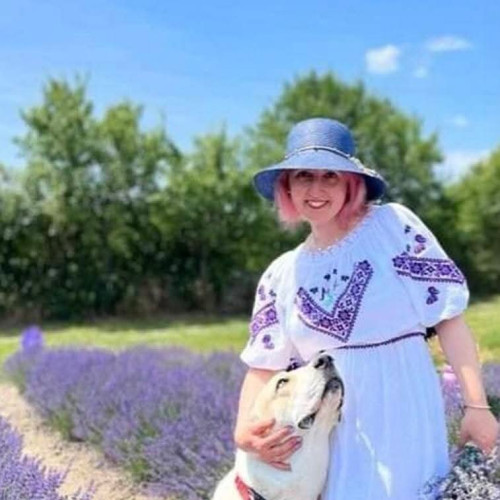 O familie din Carligei transformă un teren în raiul lavandei