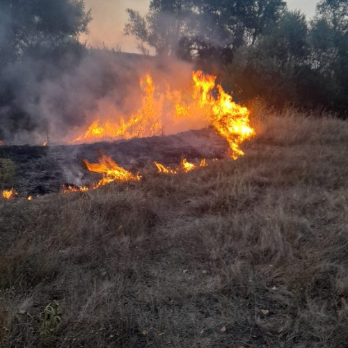 Incendiu de vegetație în comuna Maciuca: Un bărbat rănit
