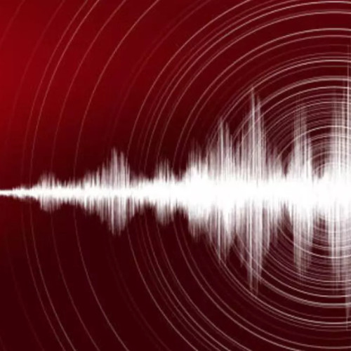 Cutremure în zona seismică Vrancea și județul Buzău
