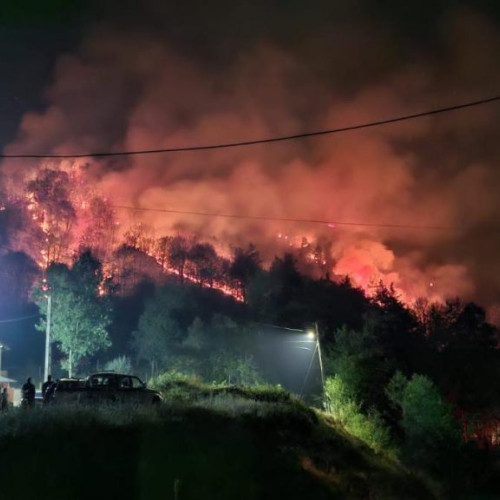 Raed Arafat, apel către preoti pentru reducerea incendiilor de vegetație