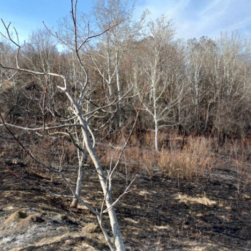 Incendiu de vegetație în Vâlcea: Un bărbat de 78 de ani a decedat