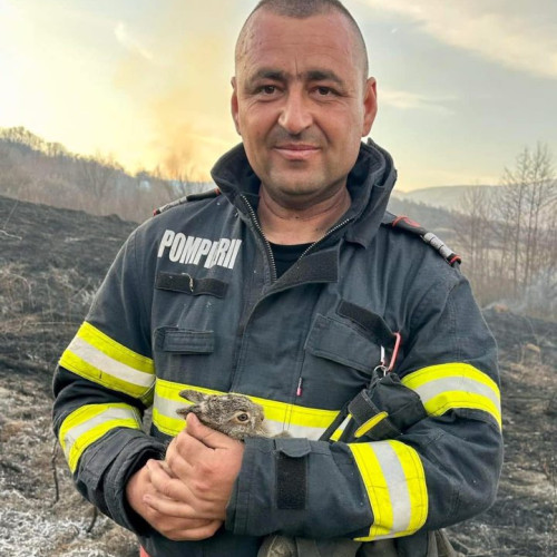 Mesajul emoționant al ISU Gorj împotriva incendiilor de vegetație