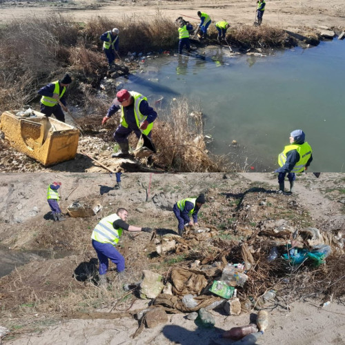 Ecologizare pe malurile râului Jiu, în Dolj