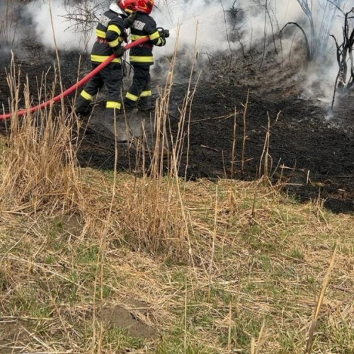 Incendiu de vegetație în județul Alba, tren oprit din circulație