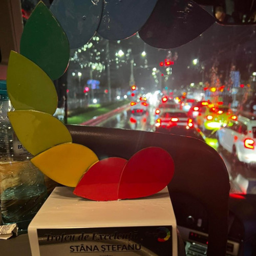 Marioara Babu, &quot;doamna Transalpinei&quot;, premiată pentru promovarea tradițiilor românești