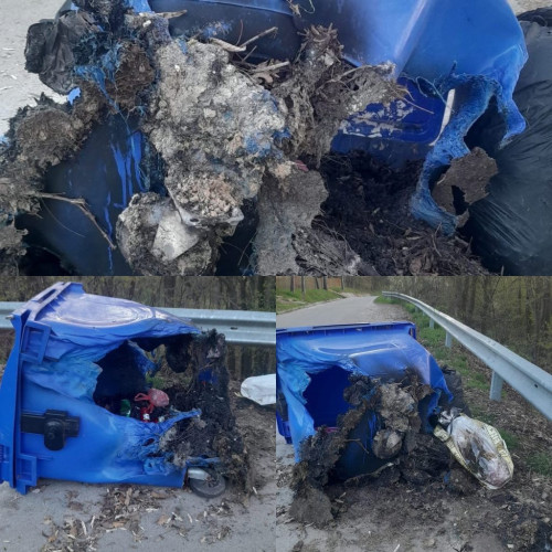 Fostul primar al comunei Danesti trage un semnal de alarmă după un incident cu o pubelă de gunoi