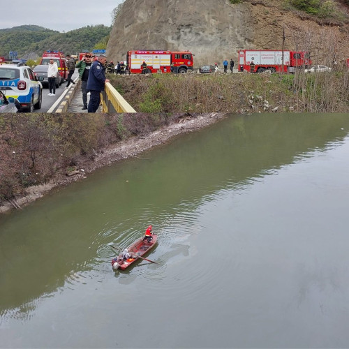 Accident grav în județul Mehedinți: un microbuz a căzut în Dunăre