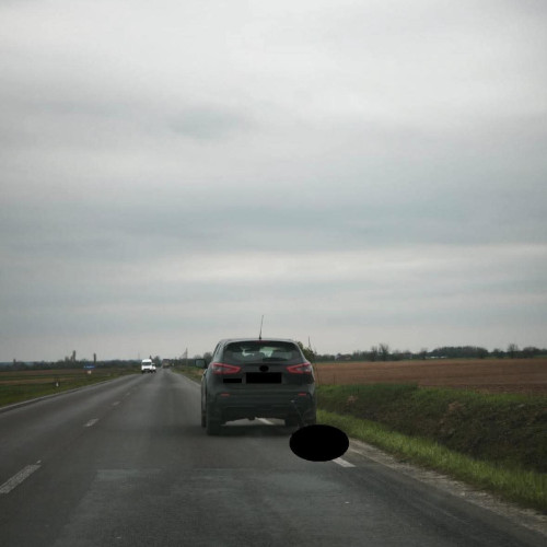 Bărbat reținut în Mehedinți pentru tratarea crudă a unui câine