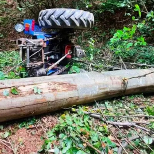 Tragedie într-o zi de Paște la Sangeorgiu de Pădure
