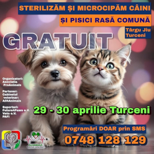 Campanie de sterilizări și microcipări gratuite în județul Gorj