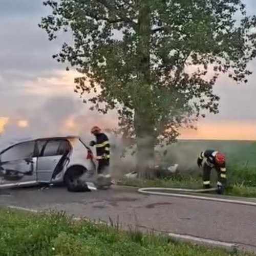 Accident fatal pe un drum din Timiș