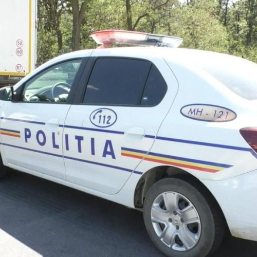 Transport ilegal de lemne oprit de poliția din Vâlcea