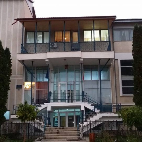 Bărbat din Târgu Cărbunești condamnat pentru tăierea ilegală de arbori