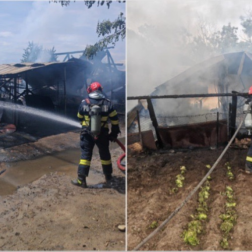 Incendiu de proporții în localitatea Voicesti