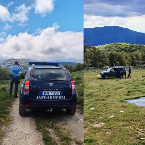 Jandarmi montani au intervenit pentru o persoană aflată în dificultate pe traseul montan