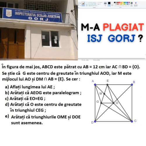 Inspectoratul Școlar Județean Gorj, acuzat de preluarea unei probleme de geometrie fără acord